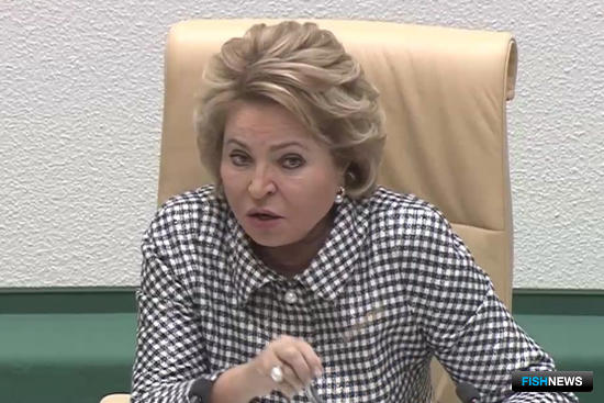 Обо всем понемногу: Совет Федерации выпустил постановление по рыбе