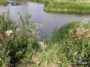 Попытка порыбачить окончилась стрельбой