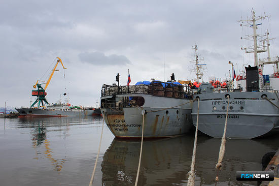 &laquo;Океанрыбфлот&raquo;: Покорители океана под звездой рыбака