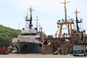 В Приморье появится агентство по рыболовству