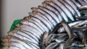 Севастополь подсчитал уловы