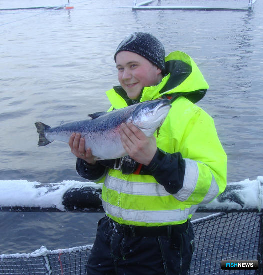 Россияне и норвежцы поделятся секретами аквакультуры