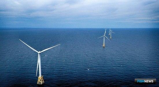 &laquo;Морское&raquo; электричество волнует рыбаков США