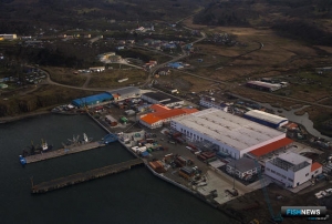 Министерства приготовят &laquo;пряник&raquo; для бизнеса на Курилах