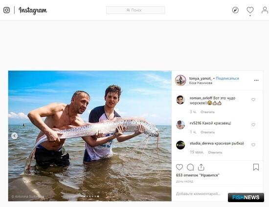 Сельдяной король удивил пользователей соцсетей, но не специалистов Сельдяной король удивил пользователей соцсетей, но не специалистов