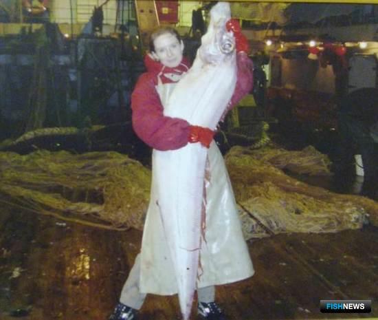 Сельдяной король удивил пользователей соцсетей, но не специалистов Сельдяной король удивил пользователей соцсетей, но не специалистов