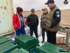 Якутскую рыбу хотят активнее продвигать