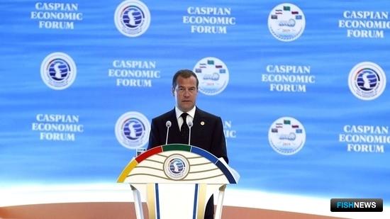Дмитрий Медведев: Россия ратифицирует Каспийскую конвенцию в ближайшее время Дмитрий Медведев: Россия ратифицирует Каспийскую конвенцию в ближайшее время