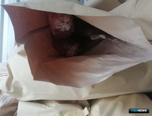 На Камчатке нашли рефконтейнер &laquo;беспаспортного&raquo; лосося