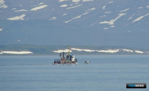 Камчатка отразила федеральные поправки в постановлении по &laquo;прибрежке&raquo;