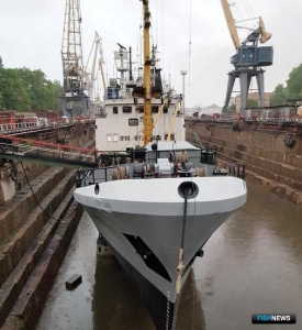 Власти Севастополя отчитались об успехах &laquo;рыбной&raquo; госпрограммы