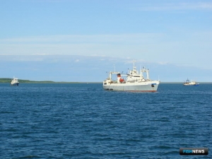 Регулятор определил форму обращения за квотами