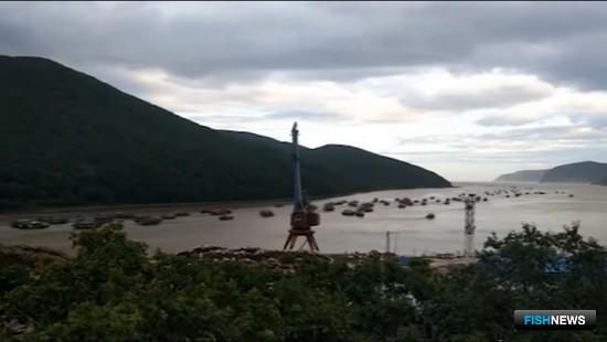 Иностранные рыбаки переждут тайфун в России