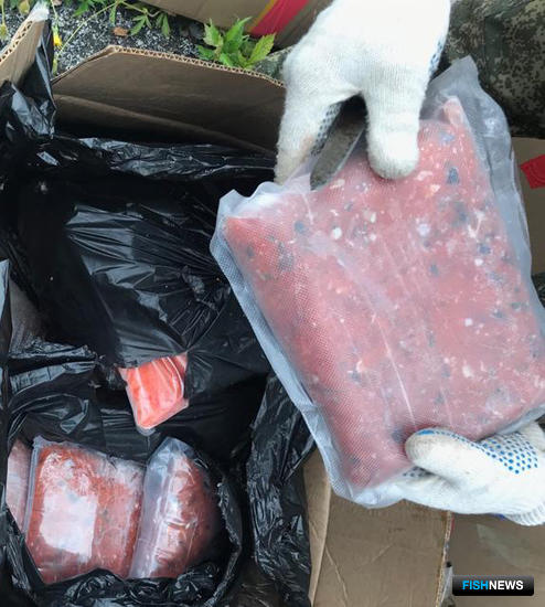 Браконьерский краб катается по Приморью