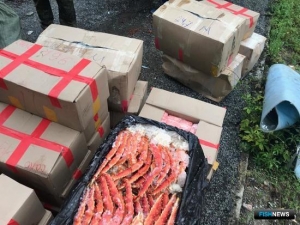 Браконьерский краб катается по Приморью