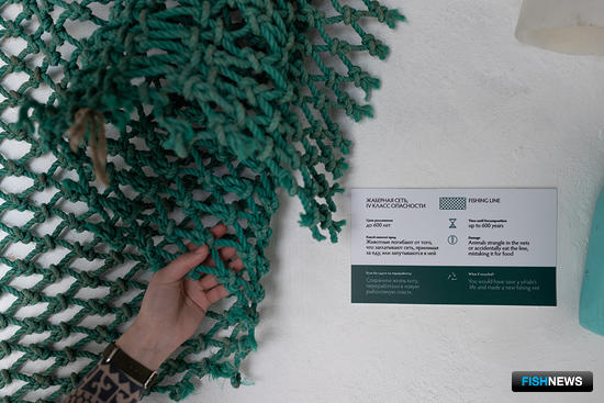 Морской мусор «рассказывает» о себе на Командорах Морской мусор «рассказывает» о себе на Командорах