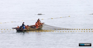 Принимать заявки на переоформление участков начнут с 26 августа