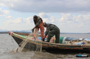 Рыбакам из числа КМНС готовят новый порядок