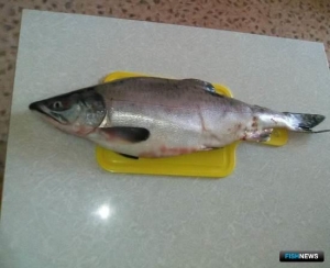 &laquo;Рыбные&raquo; расходы населения подсчитал Росстат