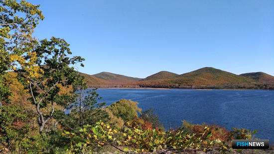 Вносим коррективы: Лов симы в Приморье не продлен