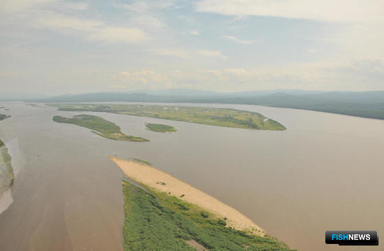 Правила на осеннюю путину рассмотрят в Хабаровске Правила на осеннюю путину рассмотрят в Хабаровске