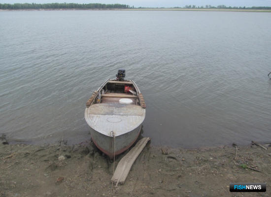 Осетровая рыбалка на Оби завершилась уголовным делом