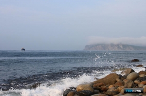 Георгий Мартынов: Решение по крабу пока не работает на экономику России