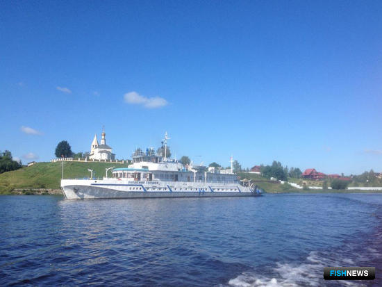 Как живется обитателям Волги &ndash; выяснит наука