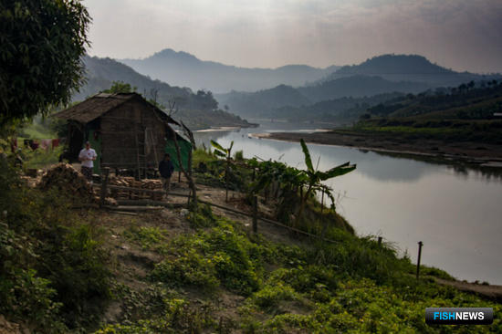 Ученые Поморья открыли новые виды моллюсков в Азии