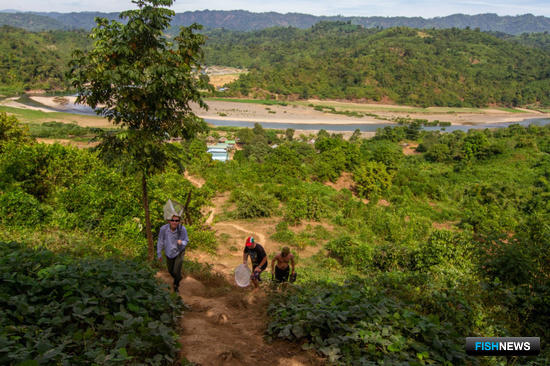 Ученые Поморья открыли новые виды моллюсков в Азии