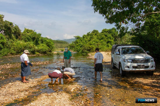 Ученые Поморья открыли новые виды моллюсков в Азии