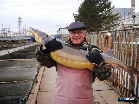 Минсельхоз выпустил новый приказ для селекционеров