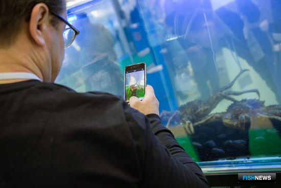 Система пошла вразнос