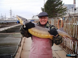 Минсельхоз выпустил новый приказ для селекционеров