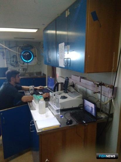 Ученые заглянули в глубины Тихого океана