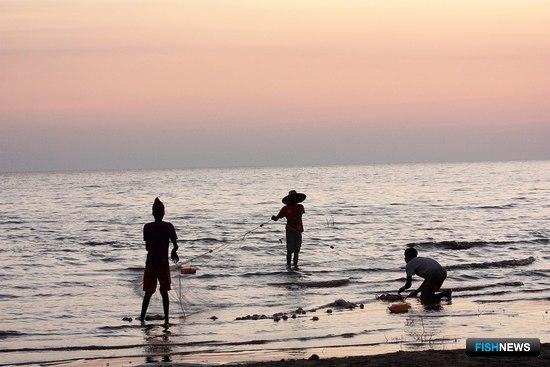 В Танзании заявили о победе над браконьерством