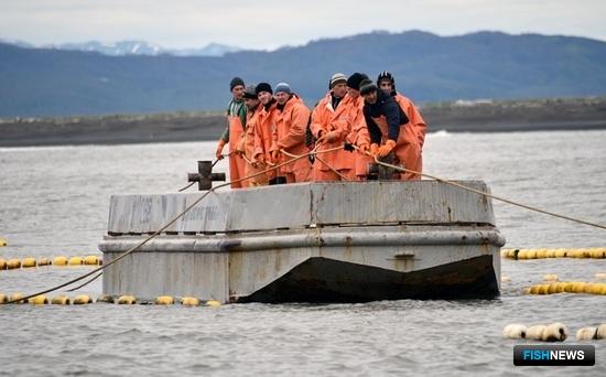 Рыбакам в Камчатском заливе дали время снять невода Рыбакам в Камчатском заливе дали время снять невода