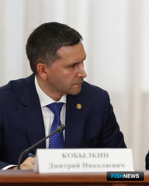 В проект спасения Волги хотят включить &laquo;рыбную&raquo; программу