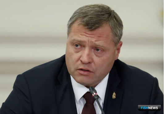 В проект спасения Волги хотят включить &laquo;рыбную&raquo; программу