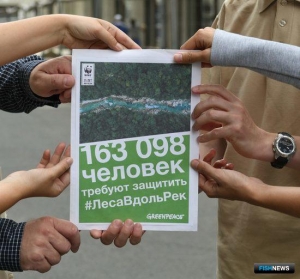 Экологи празднуют победу в &laquo;битве&raquo; за прибрежные леса