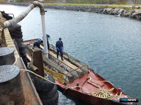 Власти решили разобраться с требованиями к кунгасам