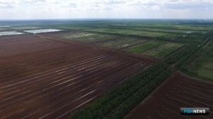 В торфяном проекте видят риски для камчатских рек