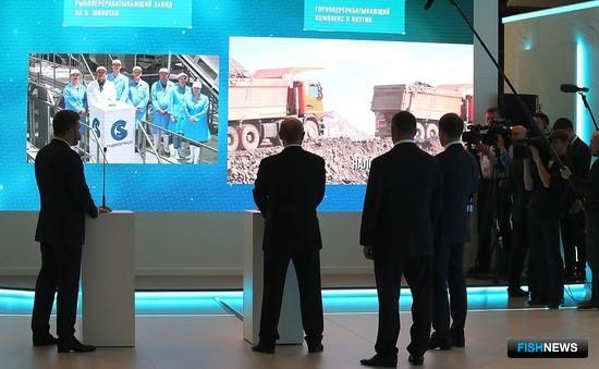 Крупнейший проект в рыбопереработке на Курилах запустили с ВЭФ Крупнейший проект в рыбопереработке на Курилах запустили с ВЭФ