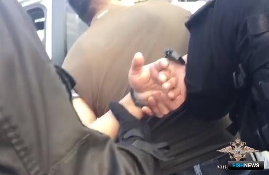 Торговцам нелегальной осетриной устроили «маски-шоу» Торговцам нелегальной осетриной устроили «маски-шоу»