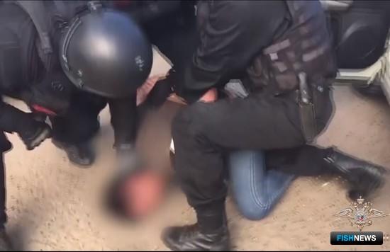 Торговцам нелегальной осетриной устроили «маски-шоу» Торговцам нелегальной осетриной устроили «маски-шоу»