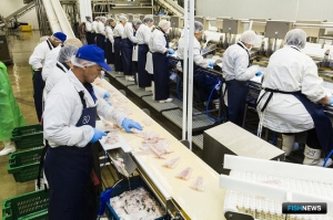 Производство оборудования хотят развивать с помощью &laquo;тресковой индустрии&raquo;