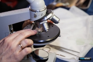 ЕС проверит систему контроля безопасности рыбы в России