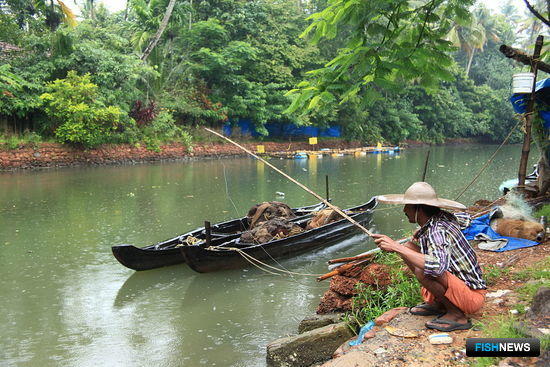 Индия планирует удвоить уловы 