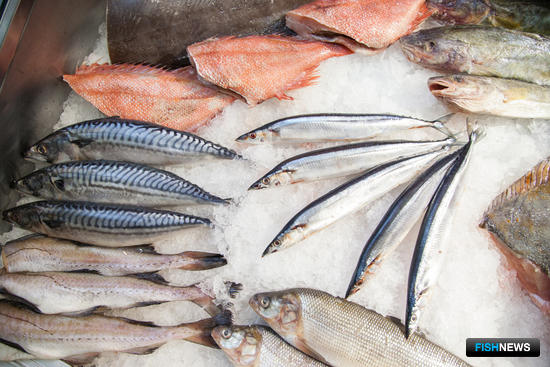 Бизнес укажет на плюсы и минусы техрегламента Бизнес укажет на плюсы и минусы техрегламента