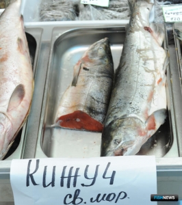 Путину на Камчатке закрывает кижуч